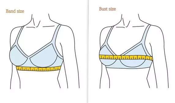 Bra size calculator band size and bust size